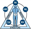 Adobe Chiropractic Wellness