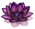 Biofeedback Plus