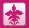 Alaka'i Laser Center