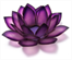 Biofeedback Plus Biofeedback Plus