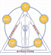 Duben Chiropractic Center Duben Chiropractic Center