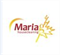 Maria G House Cleaning Maria G House Cleaning